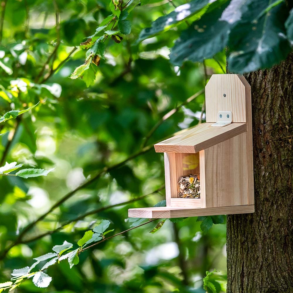 Build-Your-Own Sanjo Squirrel Feeder