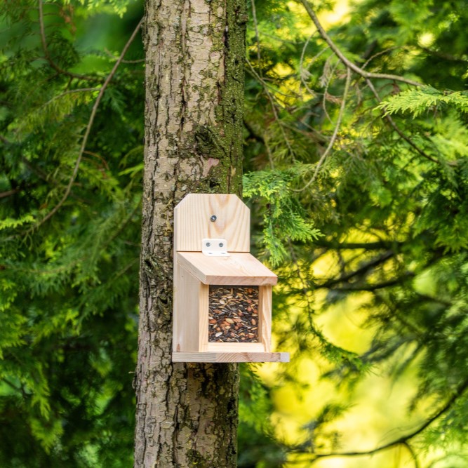 Children's binoculars & DIY Squirrel Feeder Starter Bundle