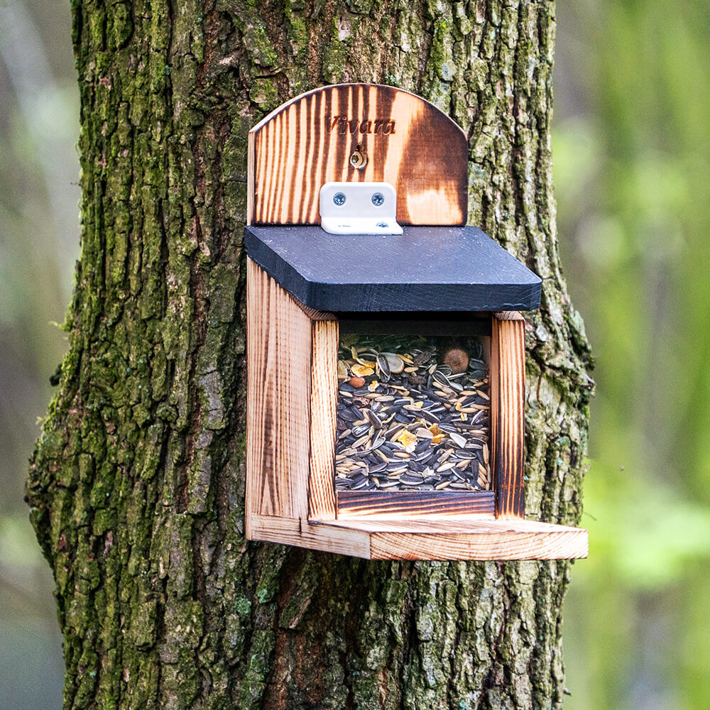 Starter-Set mit Eichhörnchen-Futterautomat ,,Victoria” und 2 kg Nussmischung