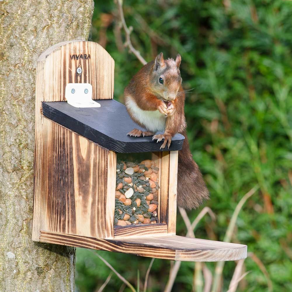 Starter-Set mit Eichhörnchen-Futterautomat ,,Victoria” und 2 kg Nussmischung