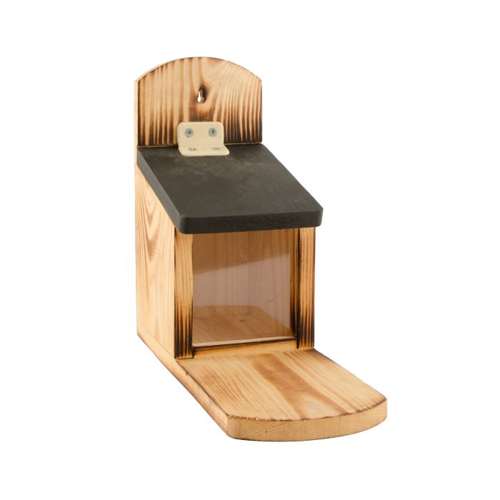 Victoria Squirrel Feeder and Food Starter Bundle