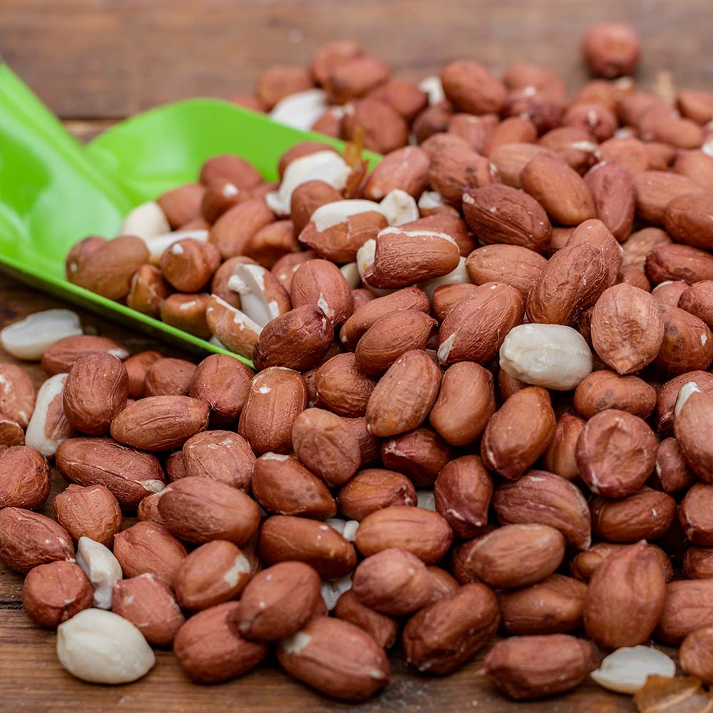 Cacahuètes premium 20kg