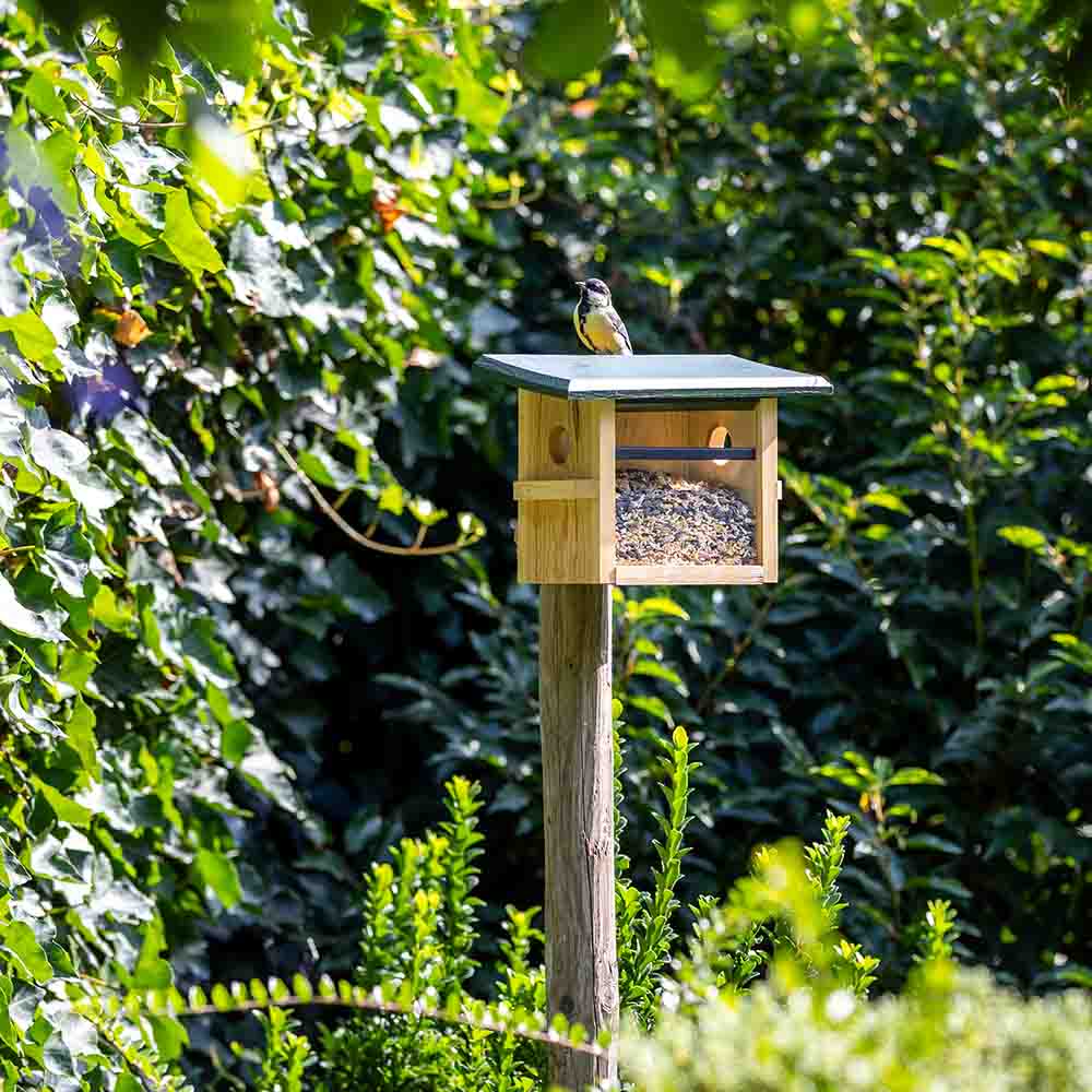 Futterhaus „Tilburg“ für kleine Vögel, Wandbefestigung