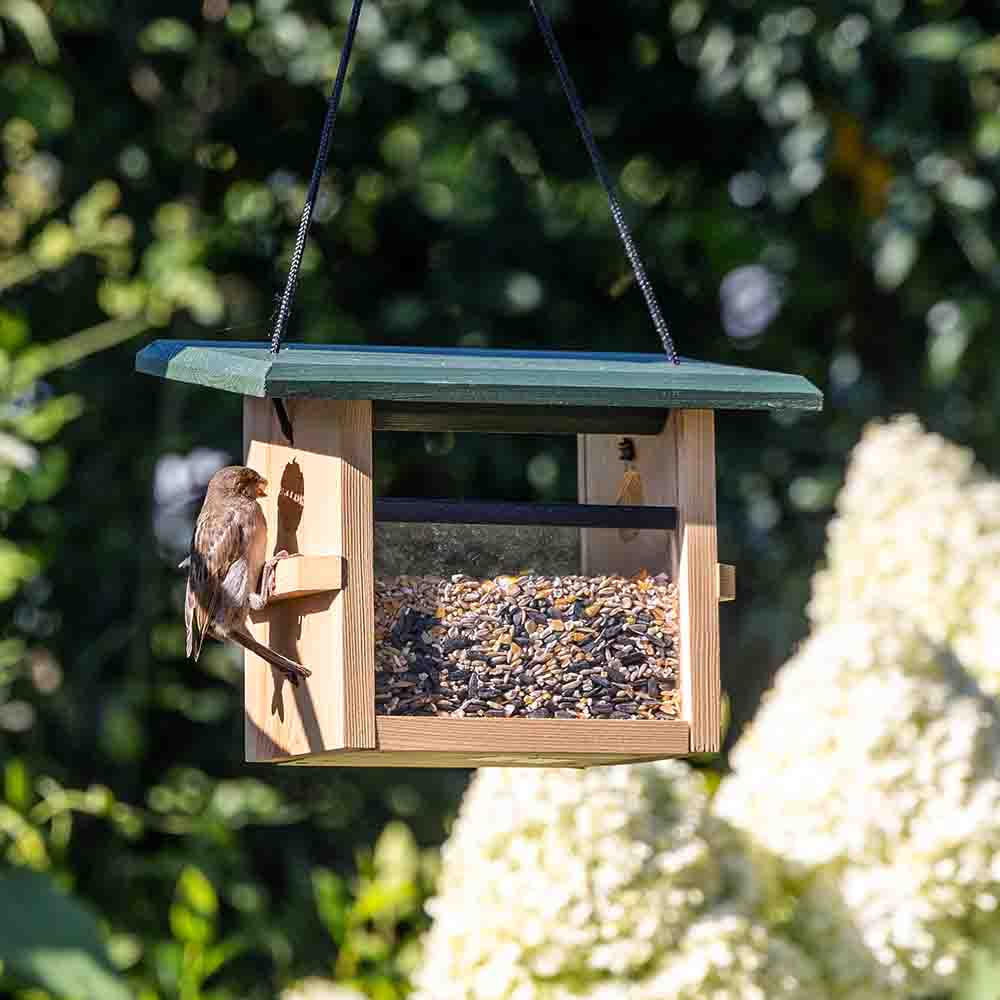 Futterhaus „Eindhoven“ für kleine Vögel, zum Aufhängen