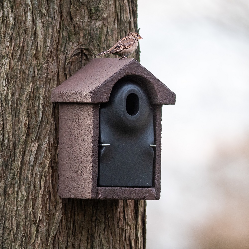 Woodstone Nestbox Bilbao 32mm Oval Hole Nest Box