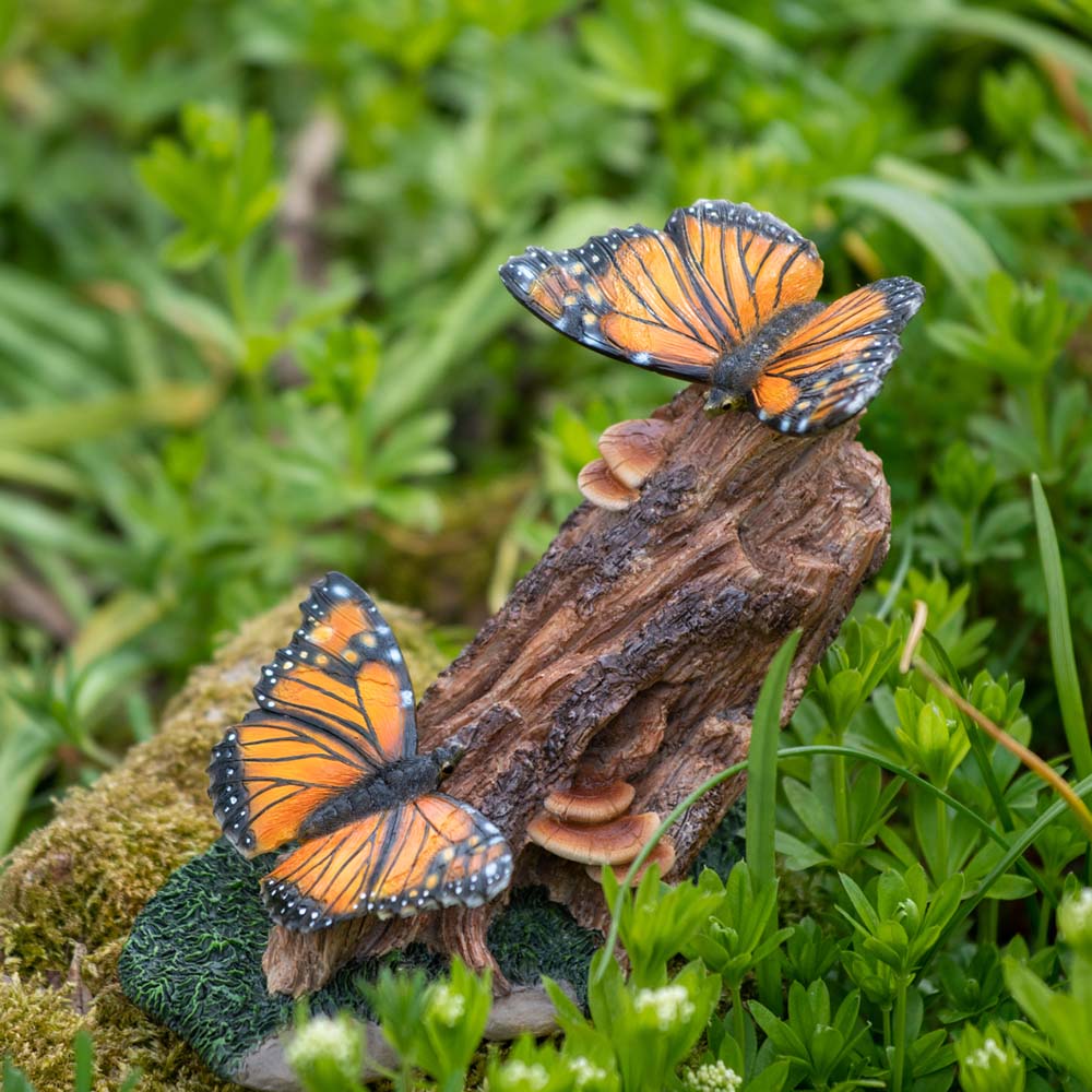 Monarch Butterflies on Woodland Log