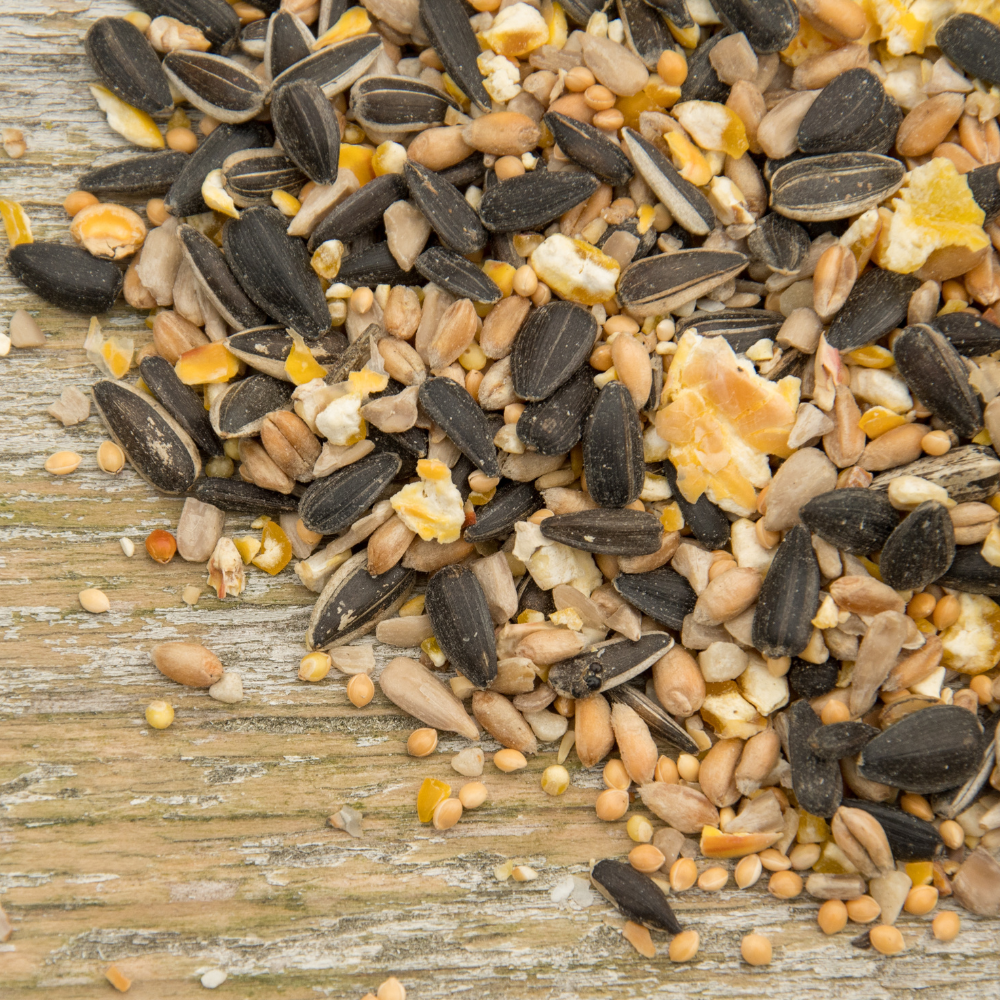 Bird Table Seed Mix